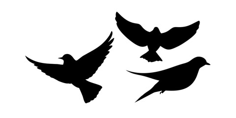 Flying Sparrow Silhouette bird black