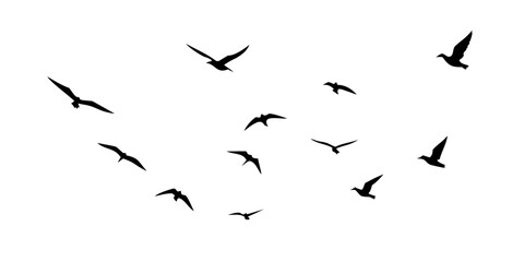 Flock of flying birds silhouettes wings