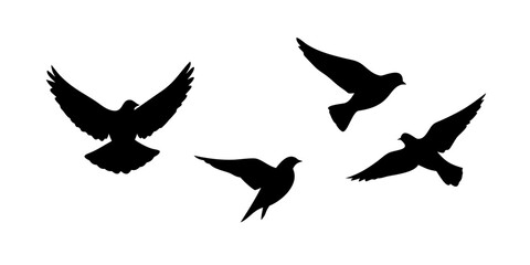 Flying Sparrow Silhouette bird black