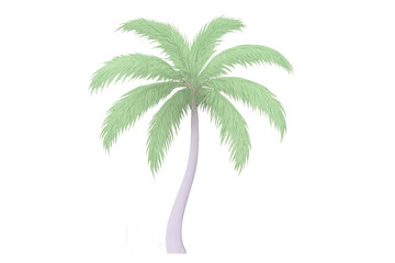 Naklejka premium Photorealistic 3d-rendered palm tree standing solo against transparent backdrop, ideal for tropical design and travel graphics