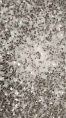 Recycled Plastic Texture, Black and White Recycled Plastic, Black and White Recycled Plastic Texture, Plastic Texture, Simple Texture