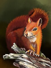 squirrel on a branch