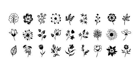 Stylized Floral Elements Collection flowers leaves