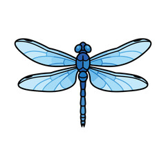 dragonfly isolated on white background