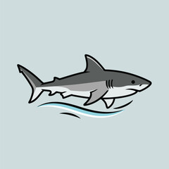 shark vector illustration