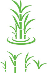 Fototapeta premium Sugarcane stalk icons, A dense patch of green sugarcane plants with tall stalks and leaves against a black background isolated view, Black Silhouette Sugarcane Plant Vector Icon,plants.