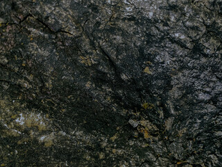 Bark texture background pattern crack old brown for graphic design.