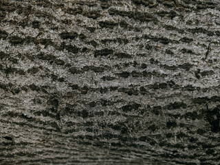 Bark texture background pattern crack old brown for graphic design.