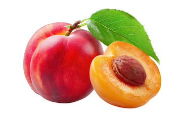 Ripe Peach and Apricot Halves with Leaf on Transparent Background