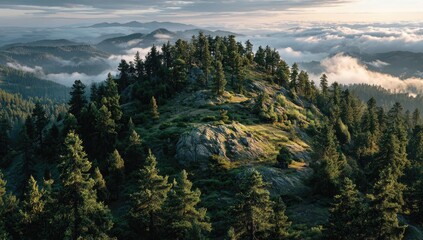 Mountain peak, dense forest, misty clouds