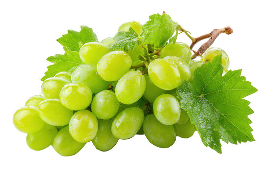Green Grapes with Dewy Leaves on a Transparent Background