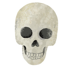 頭蓋骨のイラスト