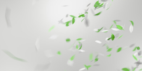Flying green and white leaves on light background, abstract spring or summer concept with swirling...