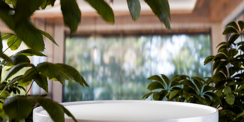 White empty podium with green leaves frame on blurry nature background for product placement, modern stage for organic cosmetic and spa product display