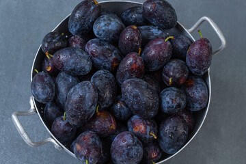 Freshly harvested plums in a metal bowl