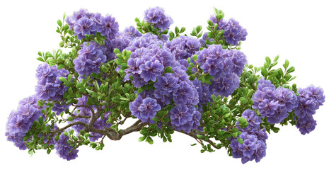 Lush cluster of vibrant purple blossoms on a leafy branch