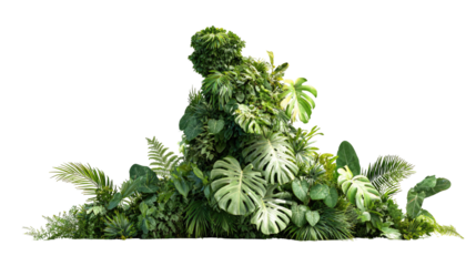 Lush, layered arrangement of various tropical foliage