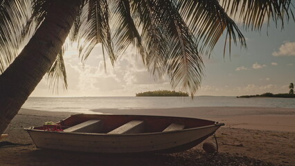 Small boat resting on sandy shores of a tropical beach at sunset, nestled under the shade of a palm...