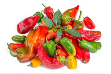 Vibrant display of fresh chili peppers