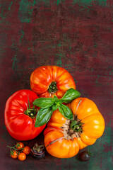 Fresh tomatoes and basil on rustic wooden surface