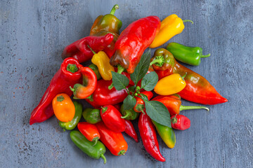 Freshly harvested chili peppers from a local farm