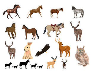 Obraz premium wild animals collection icon set
