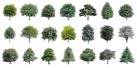 Collection of Green Trees on Black Background