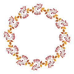 Gentle circle frame with colorful rowan leaves and berries. Flat vector illustration. Seasonal decor. Perfect for branding, card, poster, menu, scrapbooking, invitation, packaging