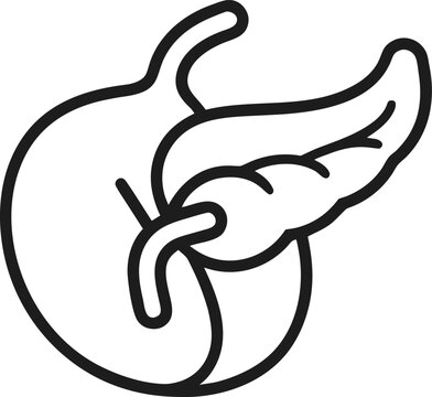  Pancreas outline icon vector icon on white background