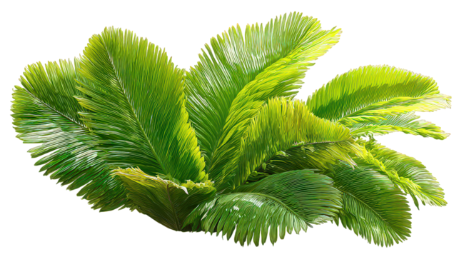 Lush Green Tropical Plant Foliage with Vibrant Texture
