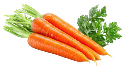 Three Orange Carrots with Green Tops on Transparent Background