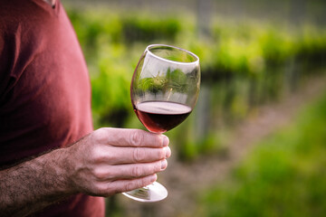 happy man tasting wine in a vineyard