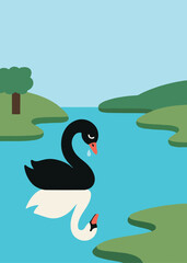 Black swan with tear looking at reflection of white swan in lake, symbolic flat vector illustration about duality and identity. 