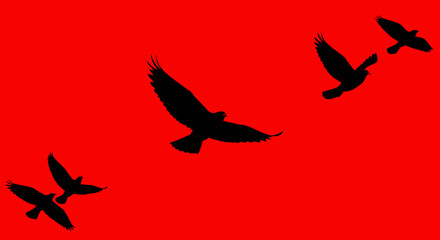 Silhouettes of birds in flight against a vibrant solid red background creating a dramatic and symbolic visual