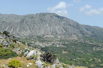 Fototapeta premium La route entre le village de Kallikratis et le village d'Asi Gonia en Crète