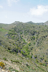 Fototapeta premium La route entre le village de Kallikratis et le village d'Asi Gonia en Crète