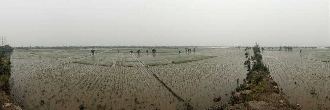 Panoramic view of a river overflowing its banks and flooding vast agricultural fields in Bengal