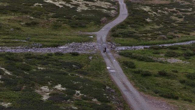 Aerial footage of a lone hiker walks a winding trail through green hills in Rondane Park, Norway