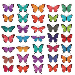Obraz premium An array of colorful butterflies displayed in a grid pattern, showcasing diverse wing patterns and vibrant hues.