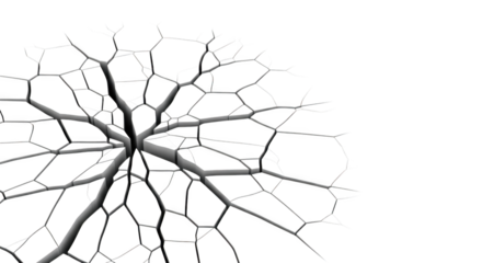 Abstract Cellular Network Visualisation with Branching Pathways on Black