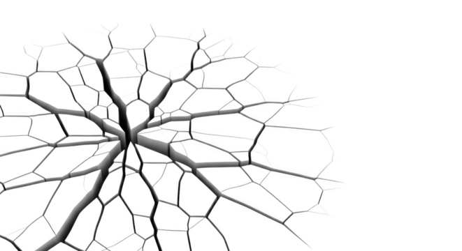 Abstract Cellular Network Visualisation with Branching Pathways on Black