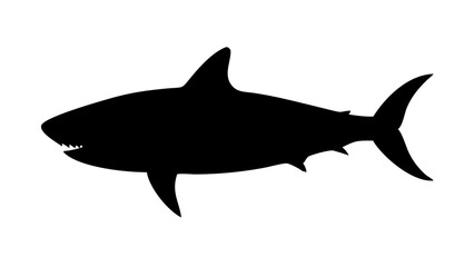 Vector art of shark silhouette, a predator of the ocean, a dangerous marine animal with sharp teeth and powerful jaws, vector illustration