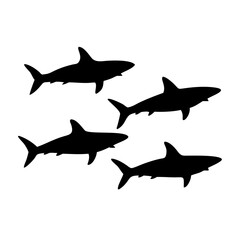 Fototapeta premium Vector art of a group of shark silhouettes swimming, , showcasing their streamlined bodies and powerful fins in a minimalist design