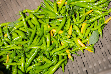 Vegetables: Chili Pepper Background Material Spice and Seasoning Imagery