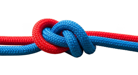 Knotted ropes intertwine against stark backdrop