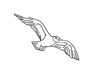 Fototapeta premium Seagull Flying Gracefully Outline, Isolated on White
