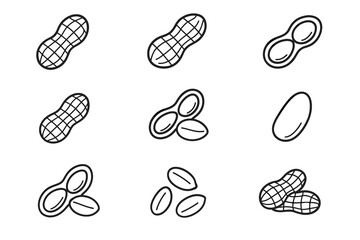 Collection of hand-drawn peanuts and shell illustrations