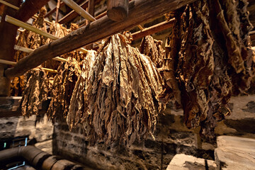 Dry tobacco leaves on the tobacco factory
