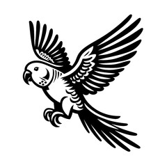 Obraz premium parakeet