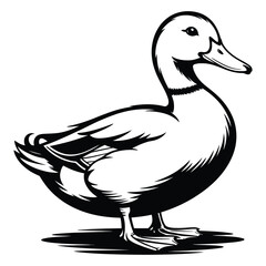 duck vector illustration